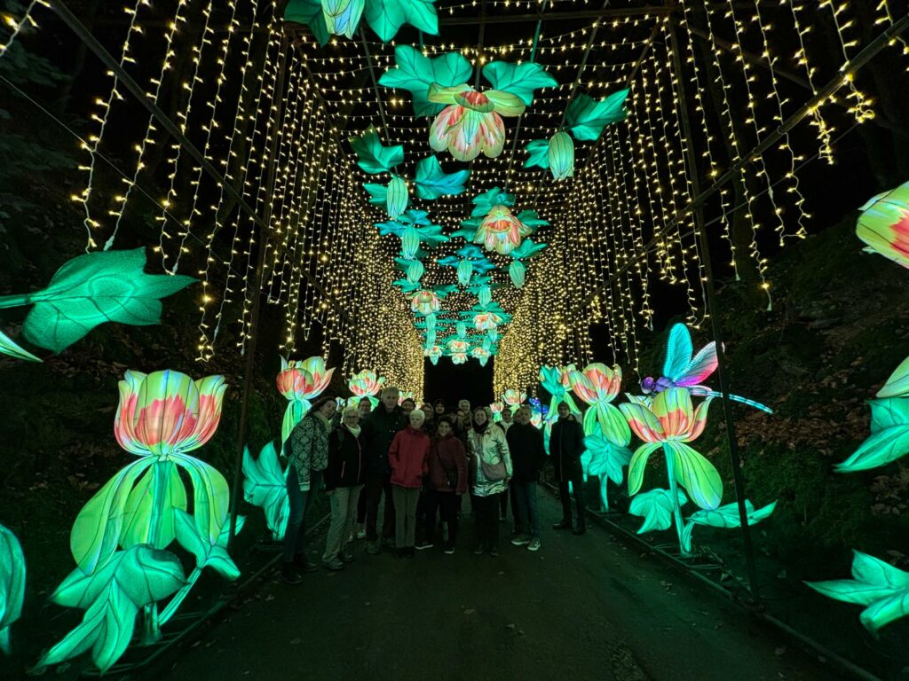 2025-12-17, marcheurs au Animaux de Lumière 1