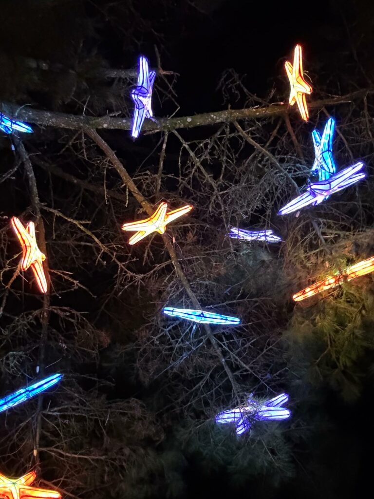 2025-12-17, marcheurs au Animaux de Lumière 3