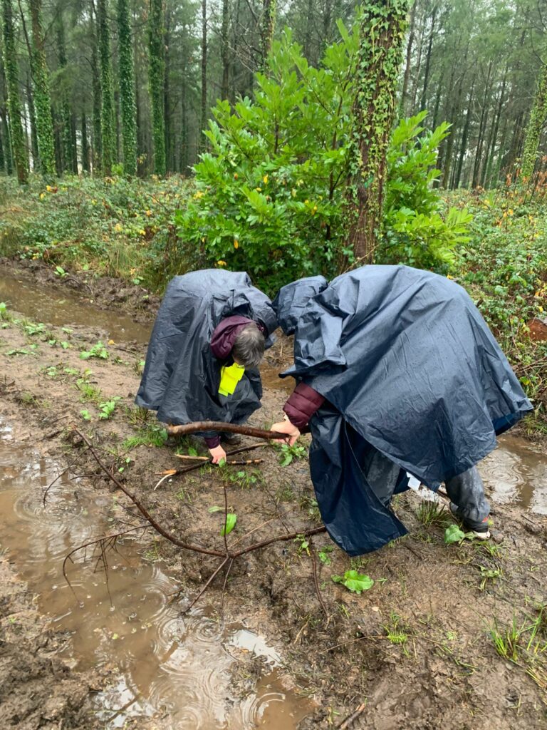 2025-12-21, Rando de Noël 1